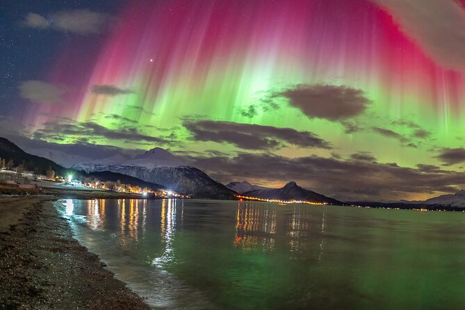 Northern Lights Tour, Photo, Toilet, Meal, Skycam in Mbus - Meeting at Ami Hotel in Tromsø