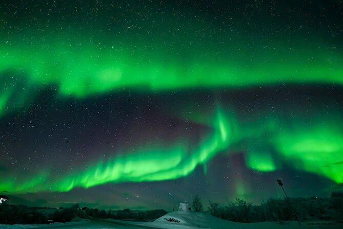 Northern Lights Tour, Photo, Toilet, Meal, Skycam in Mbus - Campfire dinner beside the dark sky