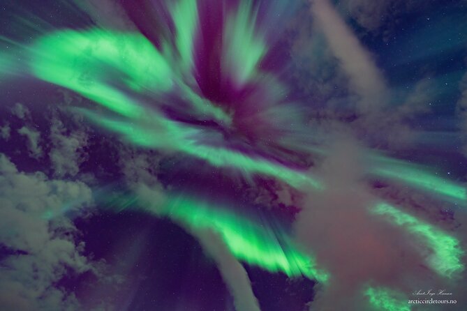 Northern Lights Tour, Photo, Toilet, Meal, Skycam in Mbus - Is $236.45 good value?