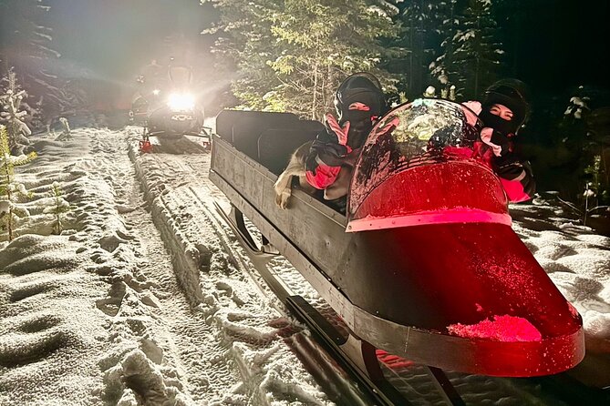 Northern Lights Tour Sleigh Ride - Key points to know before booking