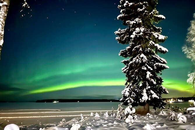Northern Lights Tour Snowmobile Driving - Key details before you book