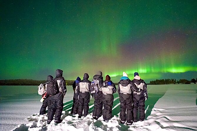 Northern Lights Tour Snowmobile Driving - A 7:00 pm start in central Rovaniemi