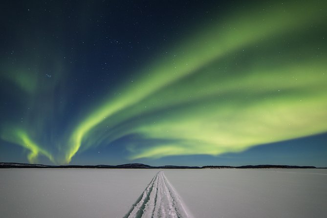 Northern lights tour to Lake Inari from Ivalo, Reindeers & Dinner - Key points to know before booking