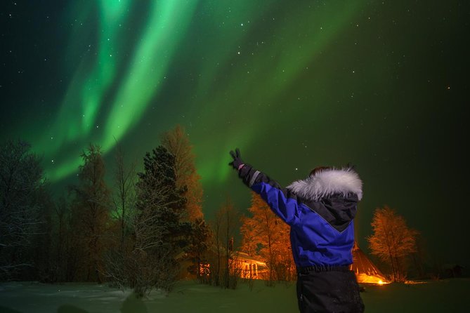 Northern lights tour to Lake Inari from Ivalo, Reindeers & Dinner - Visiting the island and meeting the reindeer