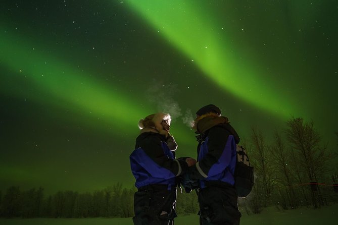 Northern lights tour to Lake Inari from Ivalo, Reindeers & Dinner - Should you book the Lake Inari tour?
