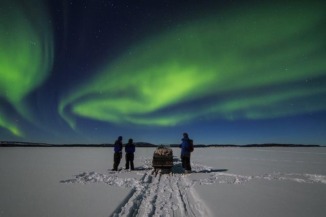 Northern lights tour to Lake Inari from Ivalo, Reindeers & Dinner - The snowmobile-pulled sleigh across Lake Inari