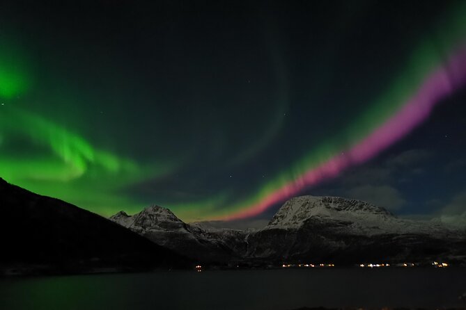 Northern Lights Tour, Tromso, Local Guide, Private Basecamp - Key points before you book