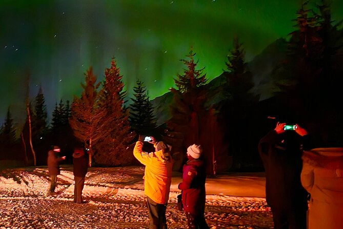 Northern Lights Tour, Tromso, Local Guide, Private Basecamp - Does the $204.97 price offer good value?