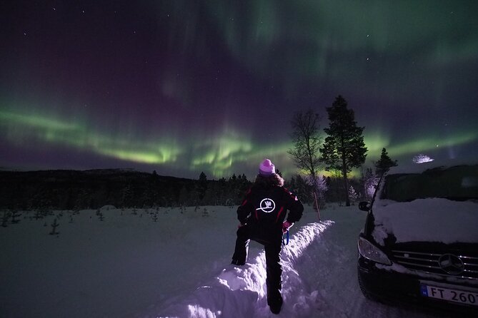 Northern Lights tour with Alta Adventure - How the Aurora Hunt Really Works