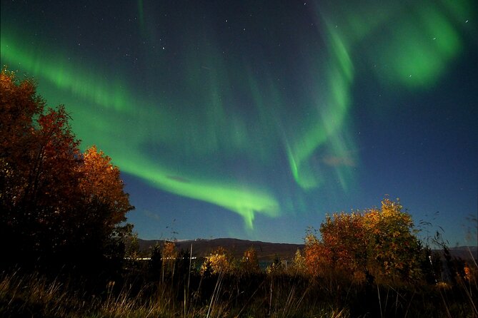 Northern Lights tour with Alta Adventure - Who Will Enjoy This Tour Most