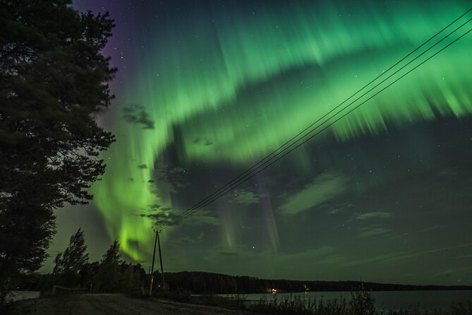 Northern Lights Tour with BBQ and drinks - A campfire, sausages, and hot glögi