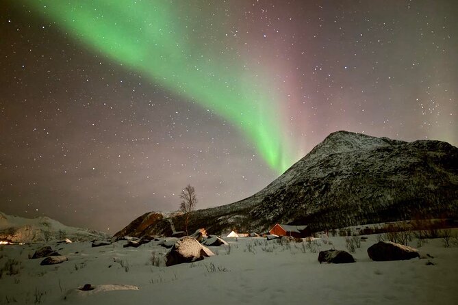 Northern Lights Tour with Hot Food and Drinks in Tromso - Chasing clear skies around the fjords