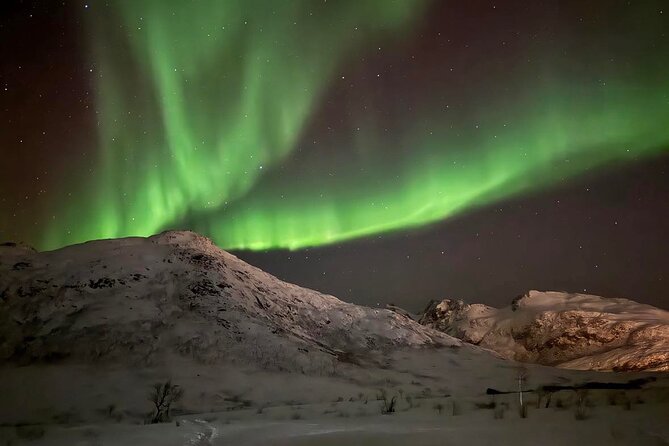 Northern Lights Tour with Hot Food and Drinks in Tromso - Thermal suits help, but bring your own winter kit