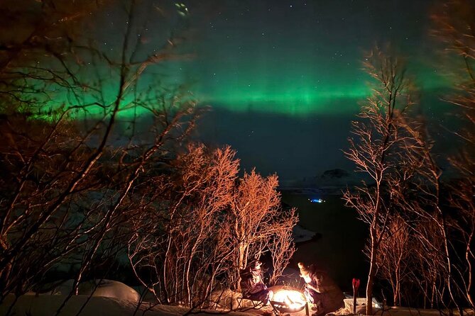 Northern Lights Tour with Hot Food and Drinks in Tromso - A small group, with limits