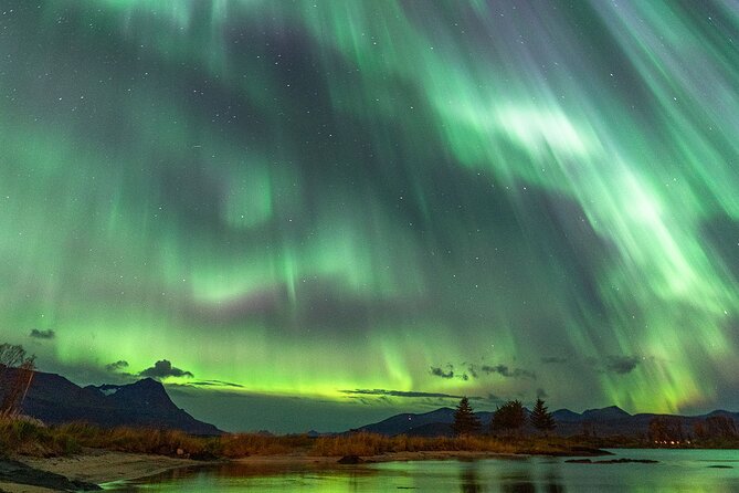 Northern Lights Tour with Local Guide and Photos - Campfire, grill hut, hot drinks, and Arctic snacks