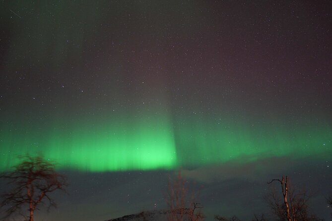 Northern Lights Tour with Local Guide and Photos - The return to Tromsø and the late-night rhythm