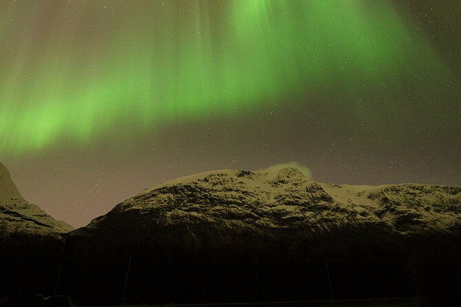 Northern Lights Tour with Local Guide and Photos - What the $198.50 price gives you
