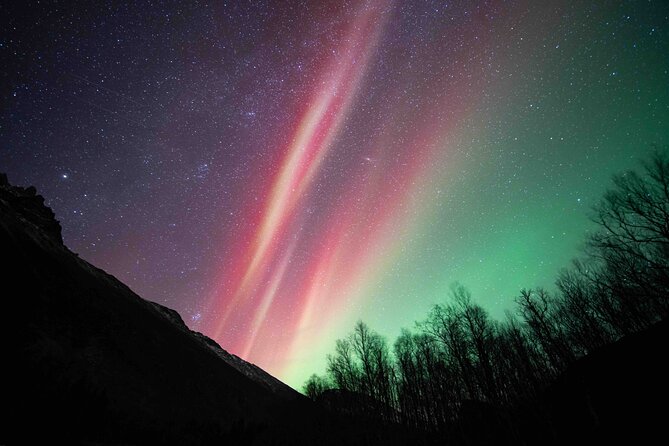 Northern Lights Tour with small group of 8 people - The night starts in Tromsø, but the route stays open