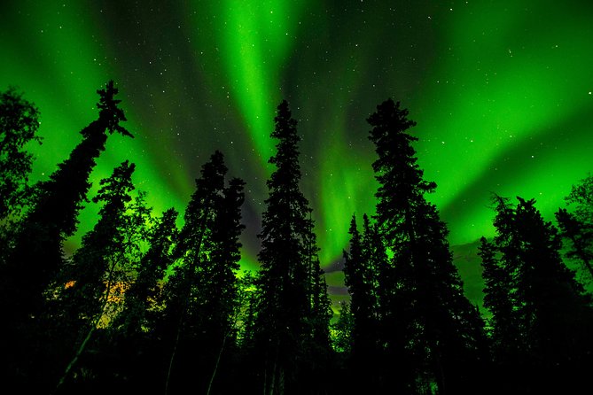 Northern Lights Tours - Chasing clear skies beyond Yellowknife