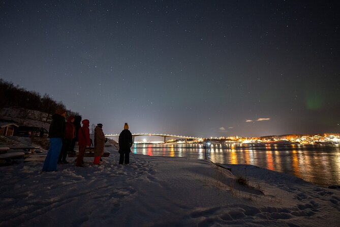 Northern Lights Tours Bodo Norway - Key Points Before You Book