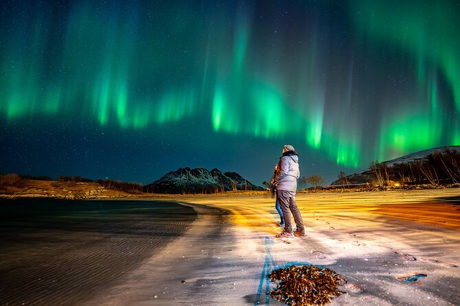 Northern Lights Tours Bodo Norway - How the Route Changes During the Evening