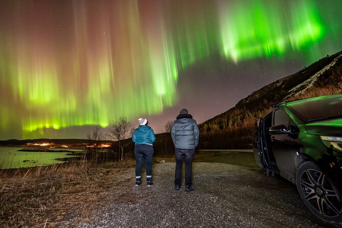Northern Lights Tours Bodo Norway - The Value of $223.73