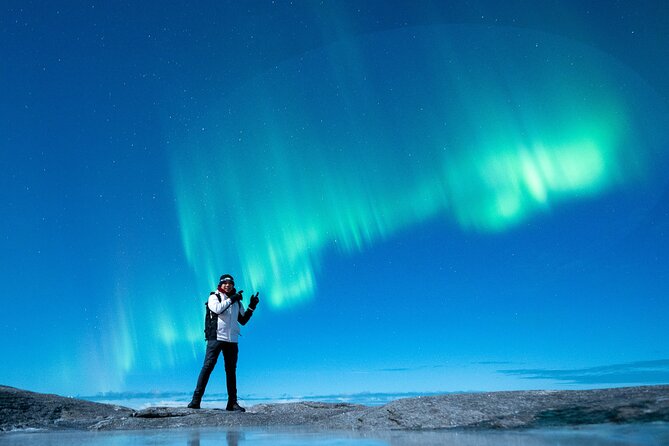 Northern Lights Tours Bodo Norway - Who Will Enjoy This Tour Most