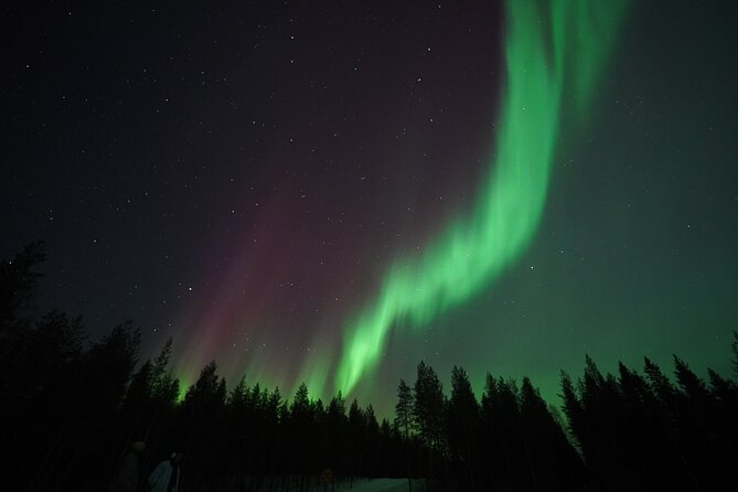 Northern Lights Trip No kilometers or Time Limit - Snacks, hot drinks, and a taste of Lapland