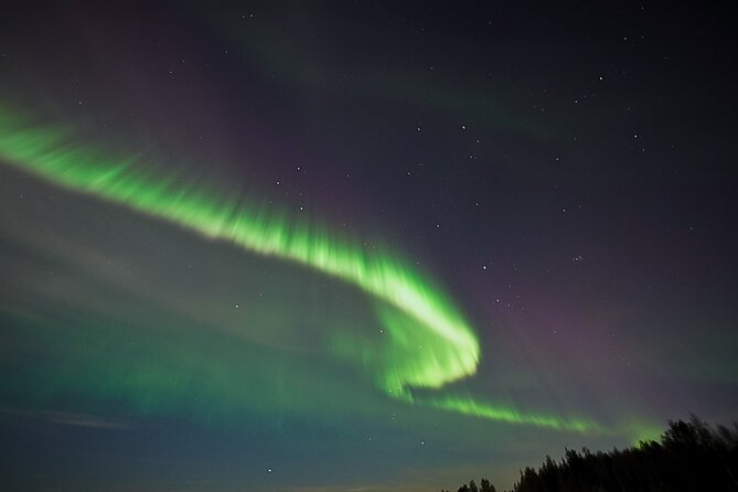 Northern Lights Trip No kilometers or Time Limit - Dressing for a night outside