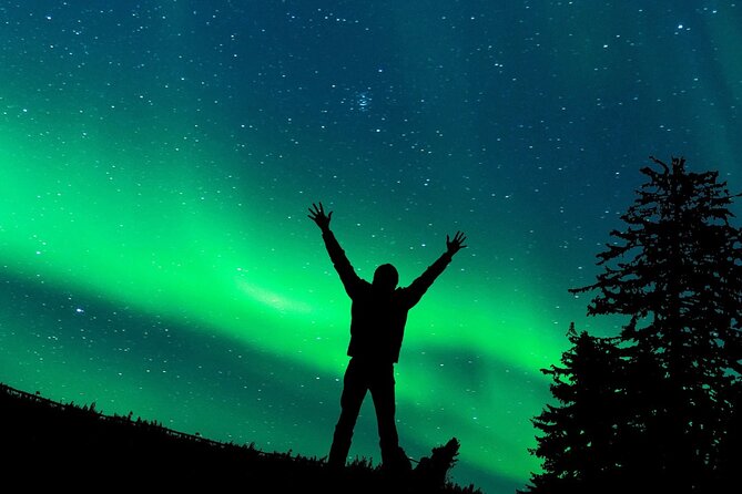 Northern Lights Trip No kilometers or Time Limit - The value of $156 per person