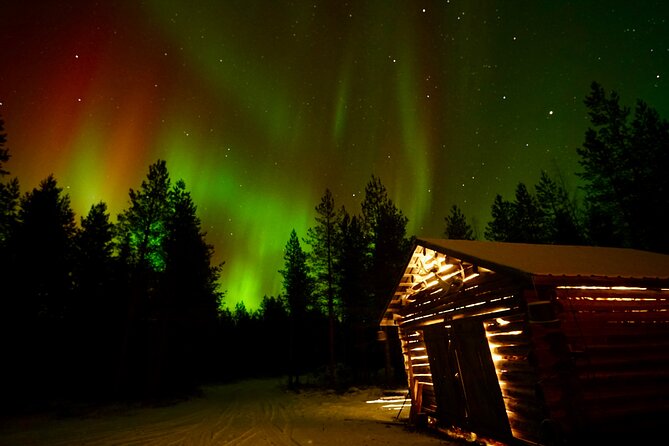 Northern Lights Trip to a Magical Place in Lapland - The group size and bus ride