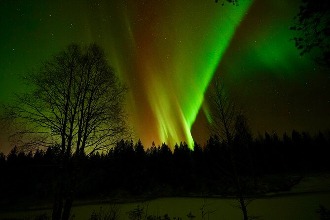 Northern Lights Trip to a Magical Place in Lapland - What the price of $119.09 includes in value
