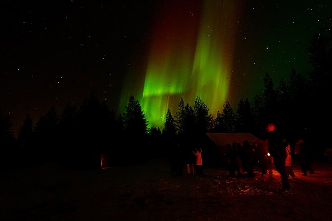 Northern Lights Trip to a Magical Place in Lapland - Weather, cancellation, and practical planning