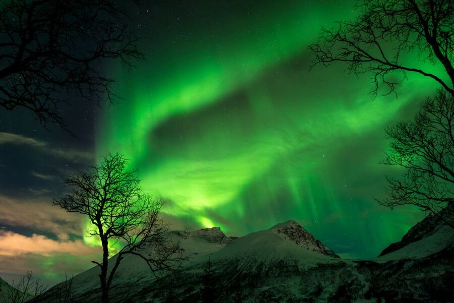 Northern lights Tromsø - small group tour with local guide - Reidar and the value of a trained local guide
