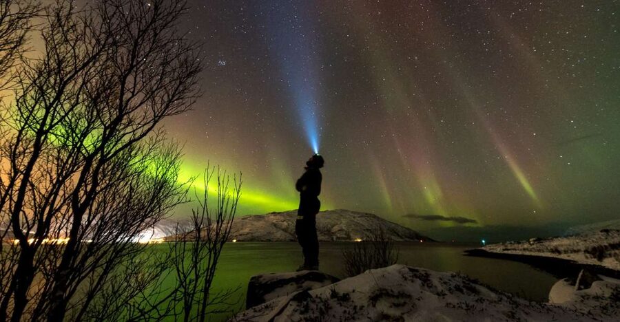 Northern lights Tromsø - small group tour with local guide - Is $271 a fair price?