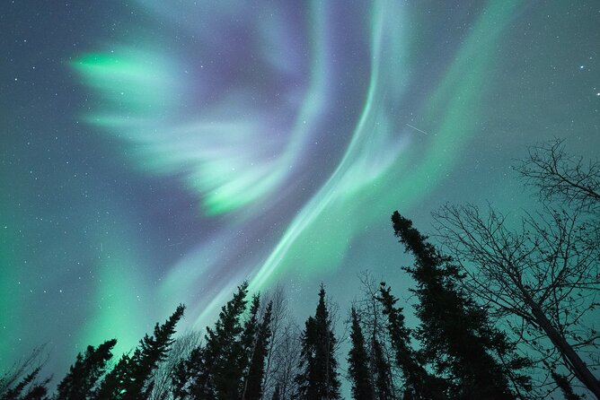 Northern Lights Viewing at Murphy Dome - Key points before you book