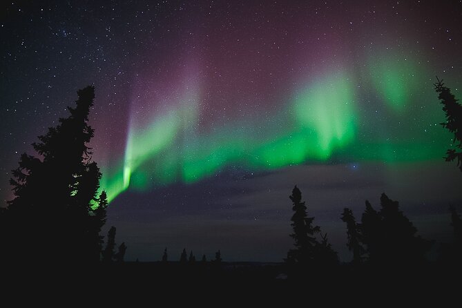 Northern Lights Viewing at Murphy Dome - The biggest variable is the aurora itself