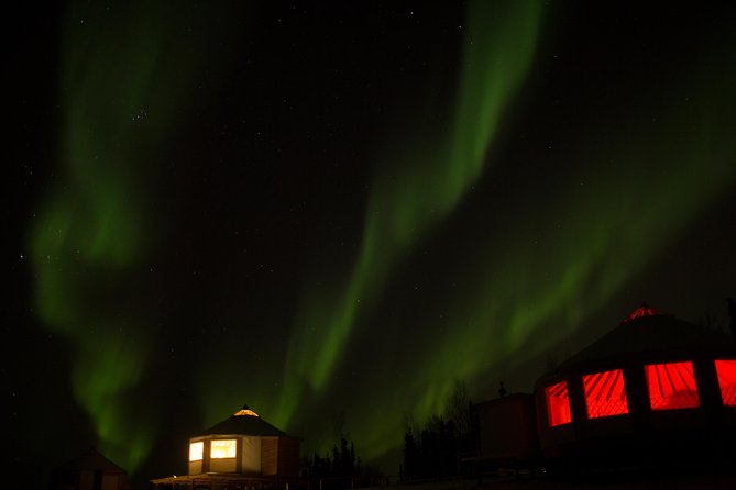 Northern Lights Viewing including Dinner and Dog Sledding - One hour behind the sled team