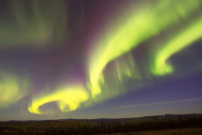 Northern Lights Viewing including Dinner and Dog Sledding - Is $300 a fair price?
