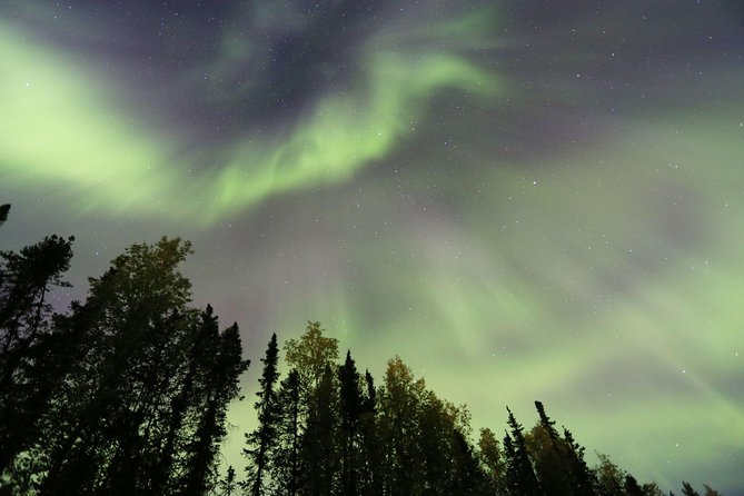 Northern Lights Viewing including Dinner and Dog Sledding - Murphy Dome and the search for a dark sky