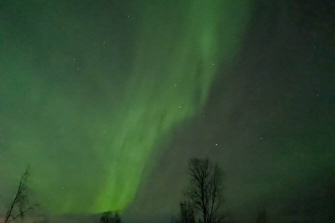 Northern Lights Walk to Old Kemi with BBQ and Arctic Views - Starting at the Kemi Snowcastle at 8 pm