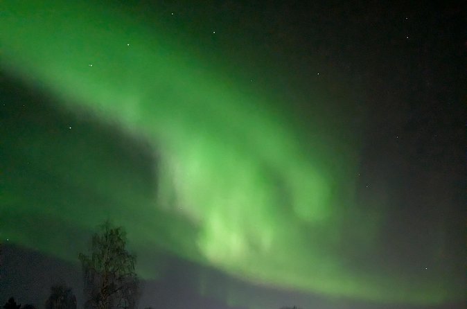 Northern Lights Walk to Old Kemi with BBQ and Arctic Views - Waiting for the aurora over Arctic sea and forest