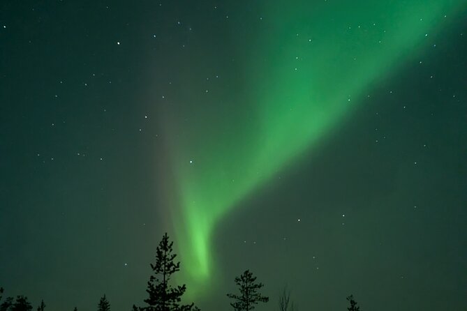 Northern Lights Walk to Old Kemi with BBQ and Arctic Views - Who will enjoy this Kemi night walk