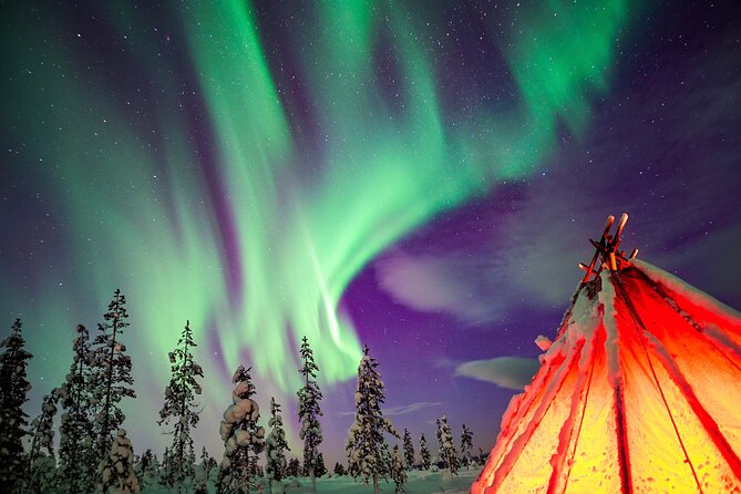 Northern Lights Wilderness Small-Group Tour from Rovaniemi - Key points before you book
