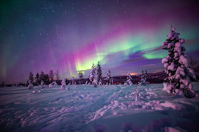 Northern Lights Wilderness Small-Group Tour from Rovaniemi - The photography service