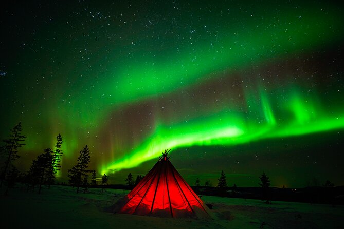 Northern Lights Wilderness Small-Group Tour from Rovaniemi - Price and overall value at $155.68