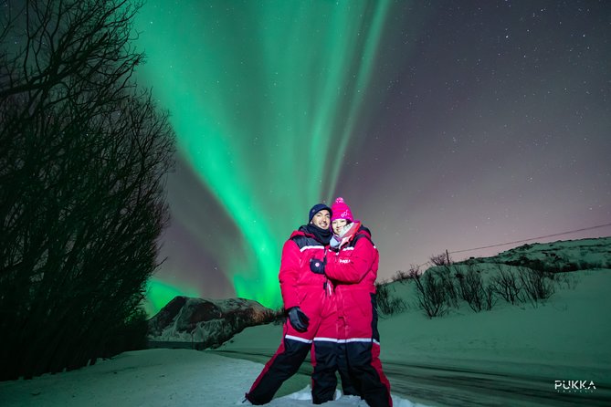 Northern Lights x Mini Bus Chase - Key things to know before you book