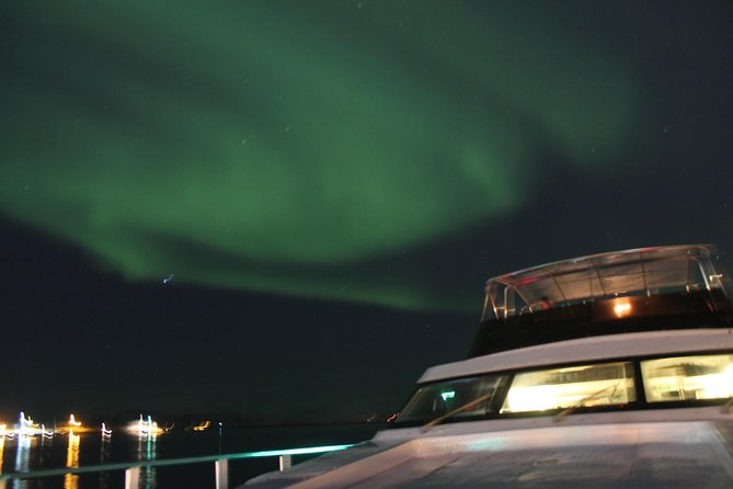 Northern Lights Yacht Cruise - Who will enjoy this cruise most?