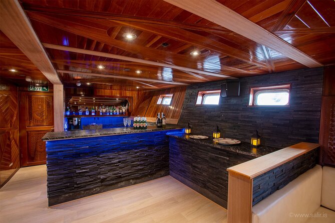 Northern Lights Yacht Cruise in Reykjavik - What you can really expect from the aurora