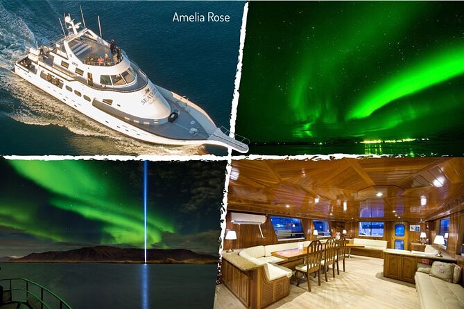 Northern Lights Yacht Cruise in Reykjavik - Value at $94 per person